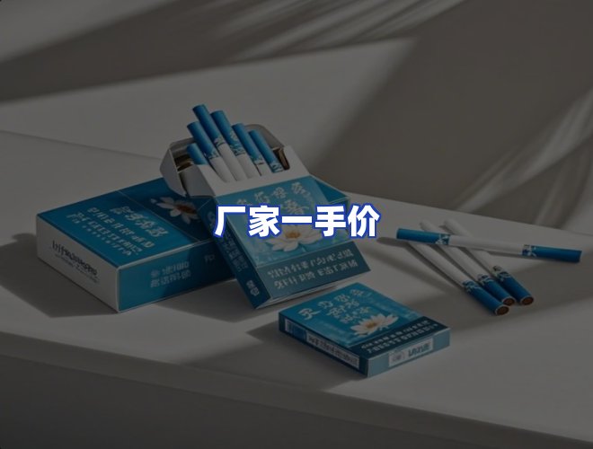 专业团队
